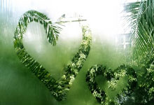  风云突变！斯图加特今晨造点机会；德国杯版图或变；球迷炸锅；更衣室氛围转暖